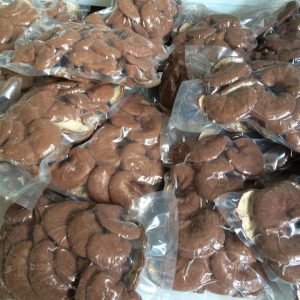 Nấm Linh chi đỏ nguyên tai - MCN 250