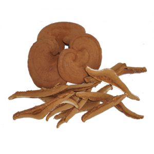 Nấm Linh chi đỏ thái lát - GTL 250