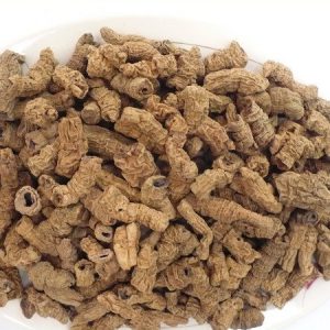 Củ Ba kích rừng khô