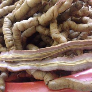 Ba kích tím Quảng Ninh tươi nguyên củ